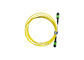 FTTH Fiber Optic Patch Cable, Fiber Optic Patch Cord G652D/G657A1/G657A2 LSZH